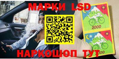 стафф Лесосибирск